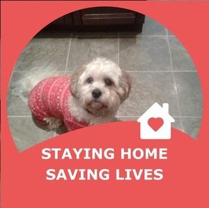 Meet your Posher, Jane